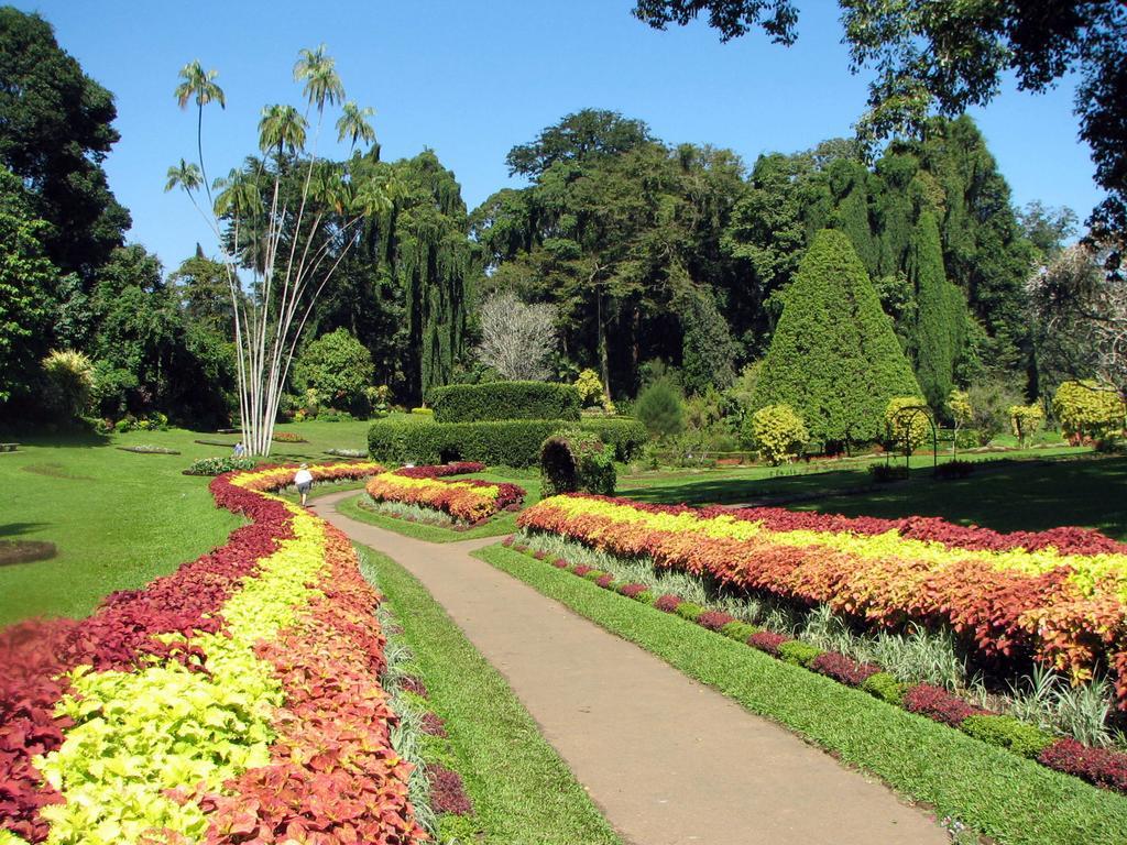 Kandy View Villa Екстериор снимка